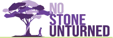 No Stone Unturned